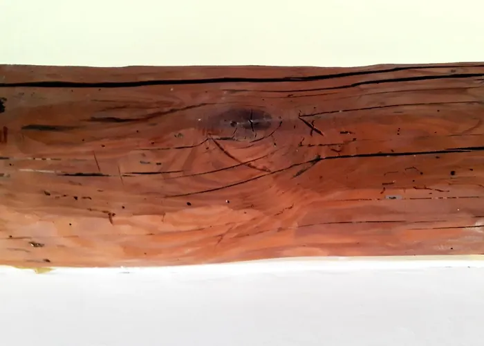 Appartamento Creuza Da Me *